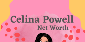 Net worth of Celina Powell and how she amassed her fortune in this comprehensive guide.